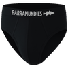 2 Pair Briefs