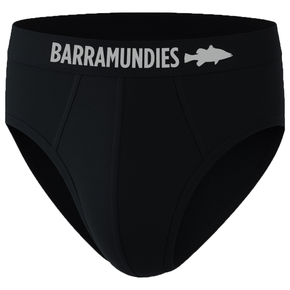 2 Pair Briefs