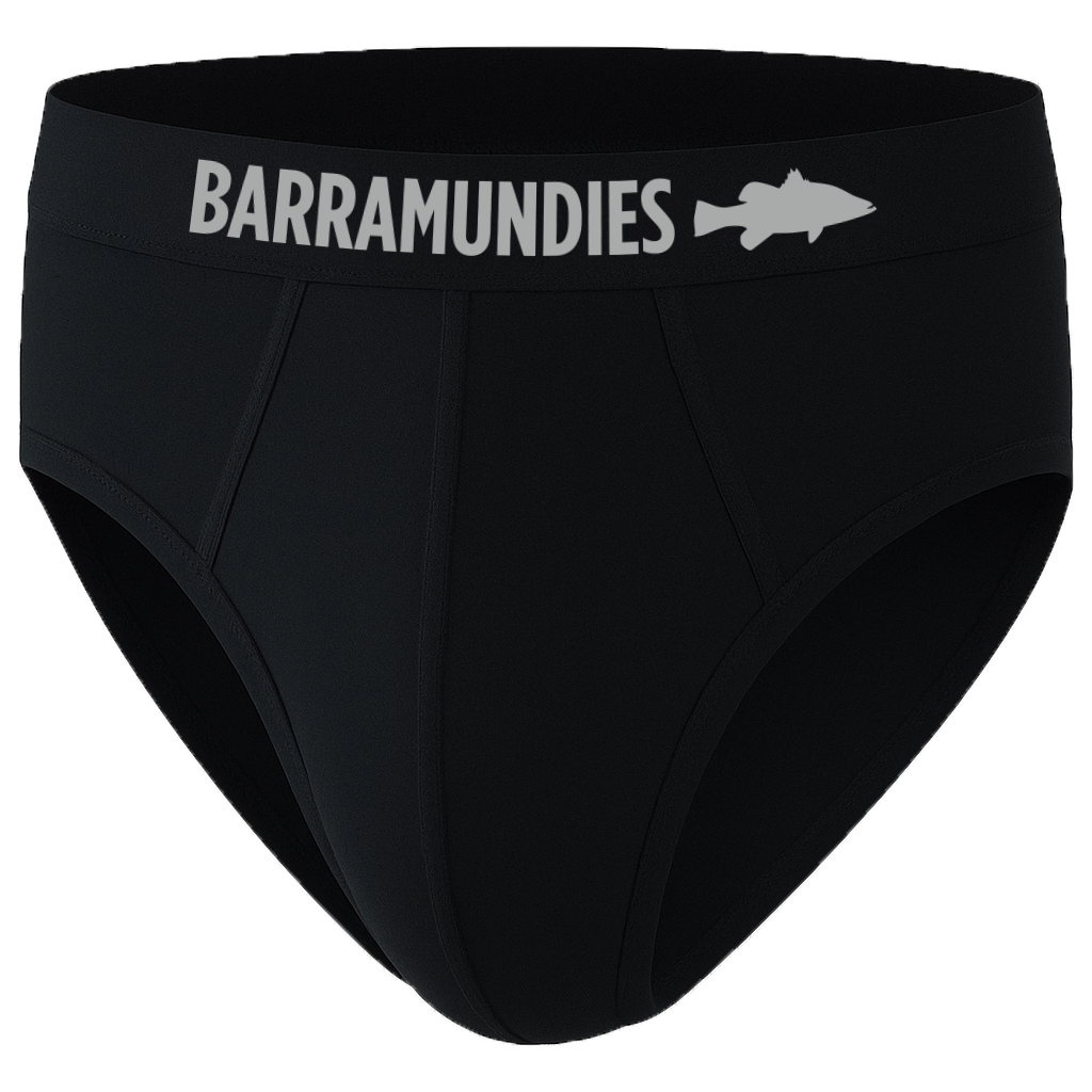 2 Pair Briefs