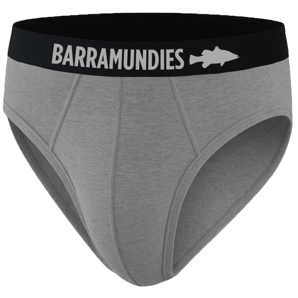 2 Pair Briefs