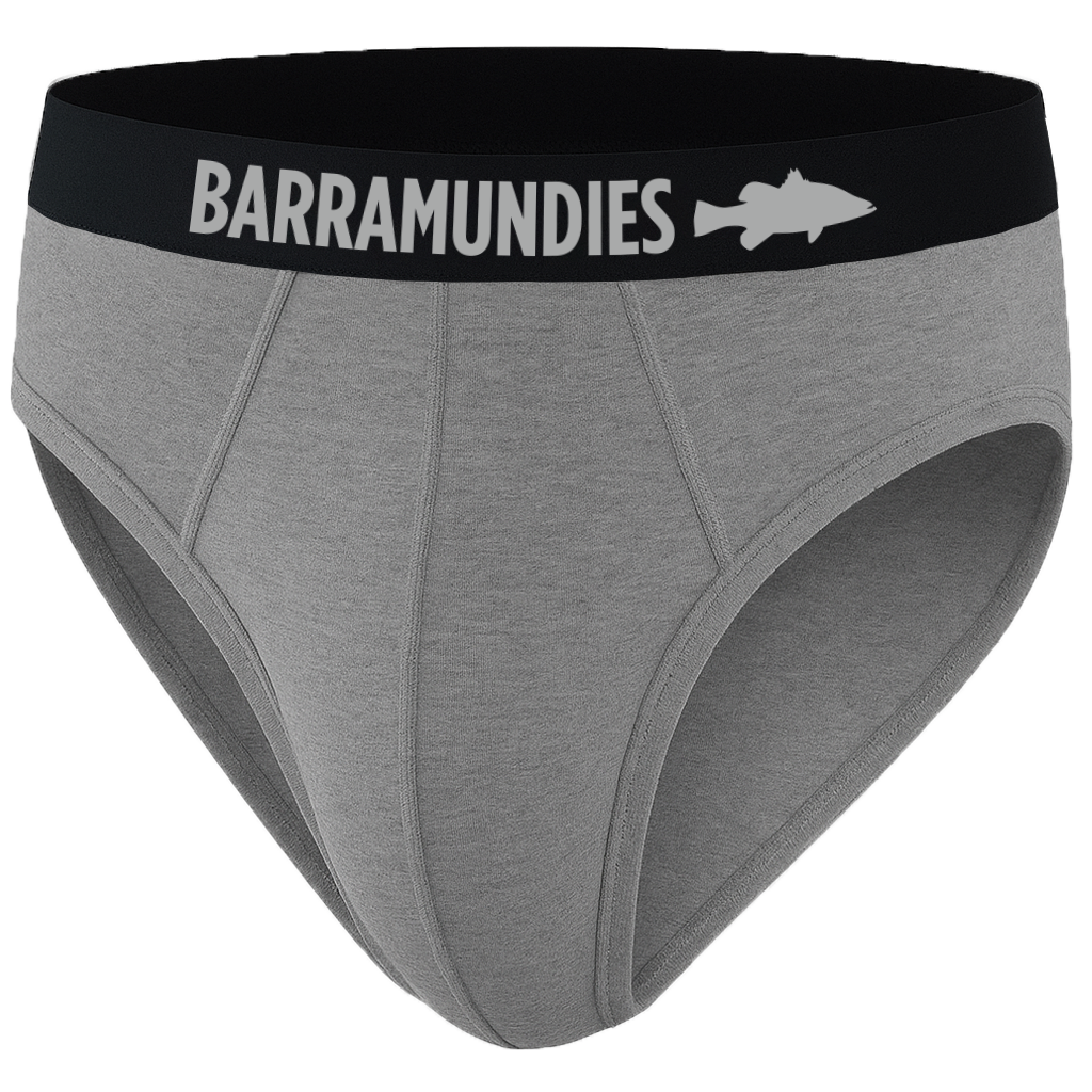 2 Pair Briefs